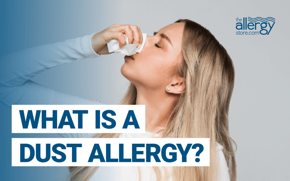 What is a Dust Allergy?